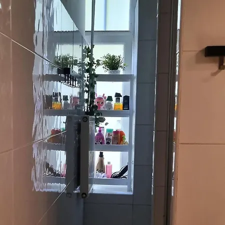 Green Cat Rooms-3